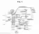 Fig. 02 - Methods And Apparatus For Treating Disorders Through Neurological And/Or Muscular Intervention