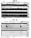 Fig. 08 - Electrical stimulation treatment of bronchial constriction