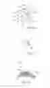Fig. 11 - ELECTRODE STRUCTURES AND METHODS FOR THEIR USE IN CARDIOVASCULAR REFLEX CONTROL