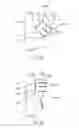 Fig. 16 - ELECTRODE STRUCTURES AND METHODS FOR THEIR USE IN CARDIOVASCULAR REFLEX CONTROL