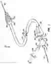Fig. 02 - Stent deployment systems and methods