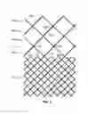 Fig. 05 - Multi-section filamentary endoluminal stent
