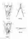 Fig. 03 - Implantable medical device with constrained expansion