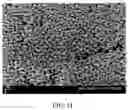 Fig. 07 - Radiopaque coating for biomedical devices