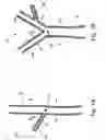 Fig. 02 - Bifurcated stent assembly