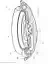 Fig. 15 - Accommodating intraocular lens system having spherical aberration compensation and method