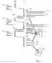 Fig. 06 - Systems and methods for validating subsititution chains of an order
