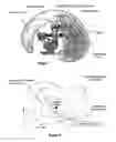 Fig. 07 - Method for optimising the performance of a robot