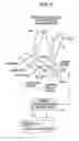 Fig. 10 - Automotive control apparatus and method