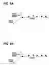 Fig. 09 - Controller and controlling method for internal combustion engine