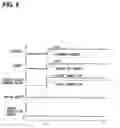 Fig. 10 - Controller and controlling method for internal combustion engine