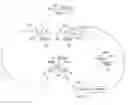 Fig. 01 - Entertainment ride experience enhancement system