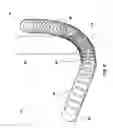 Fig. 06 - Methods for optimizing efficiency and durability of rotary drag bits and rotary drag bits designed for optimal efficiency and durability