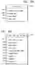 Fig. 05 - NATURAL LANGUAGE SEARCH SYSTEM
