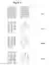 Fig. 10 - Automated interactive statistical call visualization using abstractions stack model framework