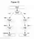 Fig. 11 - Automated interactive statistical call visualization using abstractions stack model framework