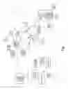 Fig. 02 - SYSTEM AND METHOD OF AUTOMATIC INSUFFICIENT FUNDS NOTIFICATION AND OVERDRAFT PROTECTION