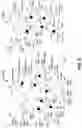 Fig. 06 - Searching for strings in messages