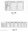 Fig. 22 - Computer-implemented systems and methods for providing a counting measure