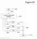 Fig. 41 - Poly vectoral reverse navigation