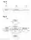 Fig. 07 - System and method for determining a quantitative measure of qualitative usability of related Web pages