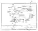 Fig. 01 - Social mapping of contacts from computer communication information