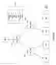 Fig. 04 - Ditto blocks