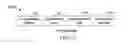 Fig. 17 - Keymap order compression