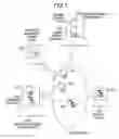 Fig. 02 - Electronic document authenticity guarantee method, and electronic document disclosure system