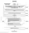 Fig. 07 - Electronic document authenticity guarantee method, and electronic document disclosure system
