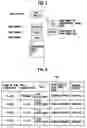Fig. 04 - Apparatus and program for update of time stamp