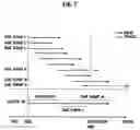 Fig. 06 - Apparatus and program for update of time stamp