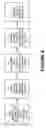 Fig. 06 - System and method for the creation of virtual information packages