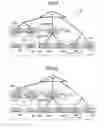 Fig. 04 - Method and apparatus for constructing and optimizing a skew of a clock tree