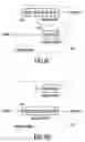 Fig. 12 - Fast channel change with conditional return to multicasting