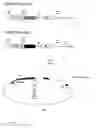 Fig. 11 - Plant cell death system