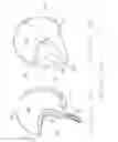 Fig. 02 - Motorcycle helmet cover