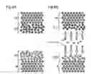 Fig. 07 - Surface acoustic wave device and method of producing the same