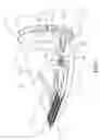 Fig. 03 - Adjustable apparatus for hair clipper