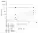 Fig. 12 - Coating process and apparatus
