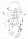 Fig. 03 - Flexible shank for an article of footwear