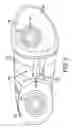 Fig. 04 - Article of footwear with a flexible arch support