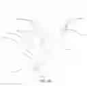Fig. 06 - LIGHT WEIGHT PAPER FRAME AND METHOD FOR FABRICATING SAME