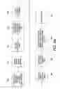 Fig. 61 - MODULAR STRUCTURE FOR BUILDING PANELS AND METHODS OF MAKING AND USING SAME