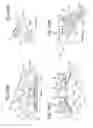 Fig. 07 - Walk-behind lawn mower