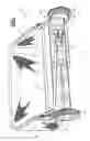 Fig. 02 - HEIGHT ADJUSTMENT SYSTEM FOR A LAWN MAINTENANCE DEVICE
