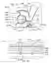 Fig. 11 - Two-stage separator apparatus for yard debris
