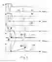 Fig. 03 - Sensor transponder and procedure for measuring tire contact lengths and wheel load