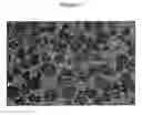 Fig. 03 - Erosion-corrosion resistant nitride cermets