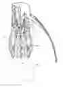 Fig. 01 - Bottle opener